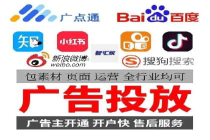SEM广告投放的技巧与策略——成功案例分享