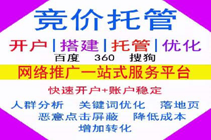 成功托管SEM竞价，实现品牌快速曝光