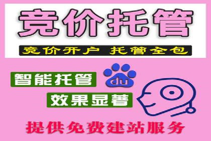 成功SEM搜索引擎优化案例，揭秘优化秘籍